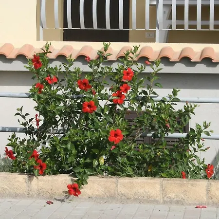 Casa Vacanze Marina *