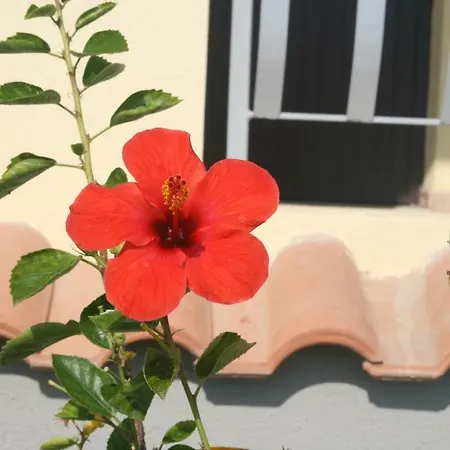 Casa Vacanze Marina *